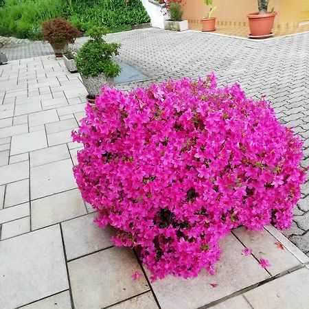 Alloggio Cristina Valdobbiadene Zewnętrze zdjęcie