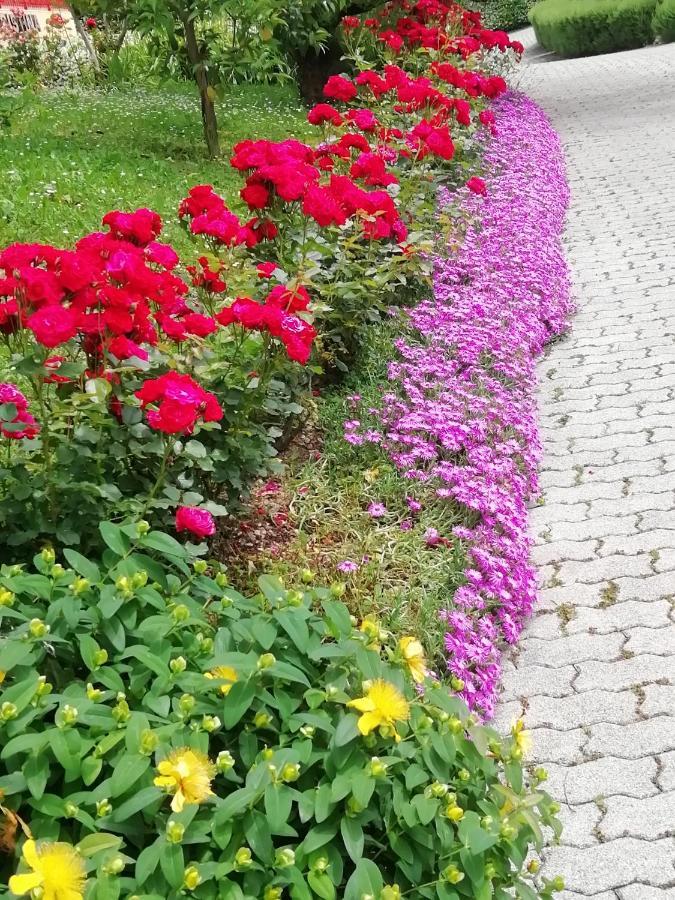 Alloggio Cristina Valdobbiadene Zewnętrze zdjęcie