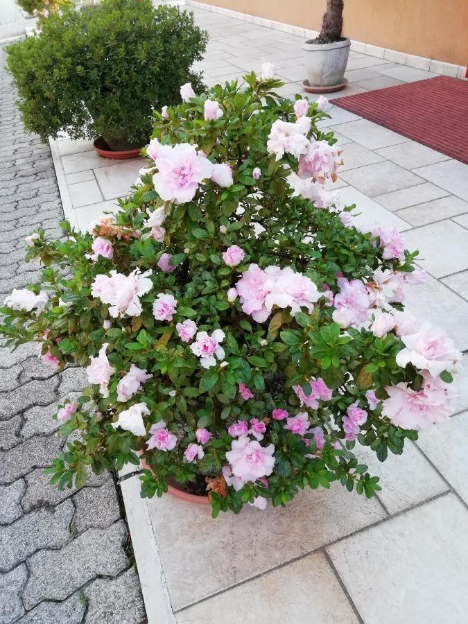Alloggio Cristina Valdobbiadene Zewnętrze zdjęcie