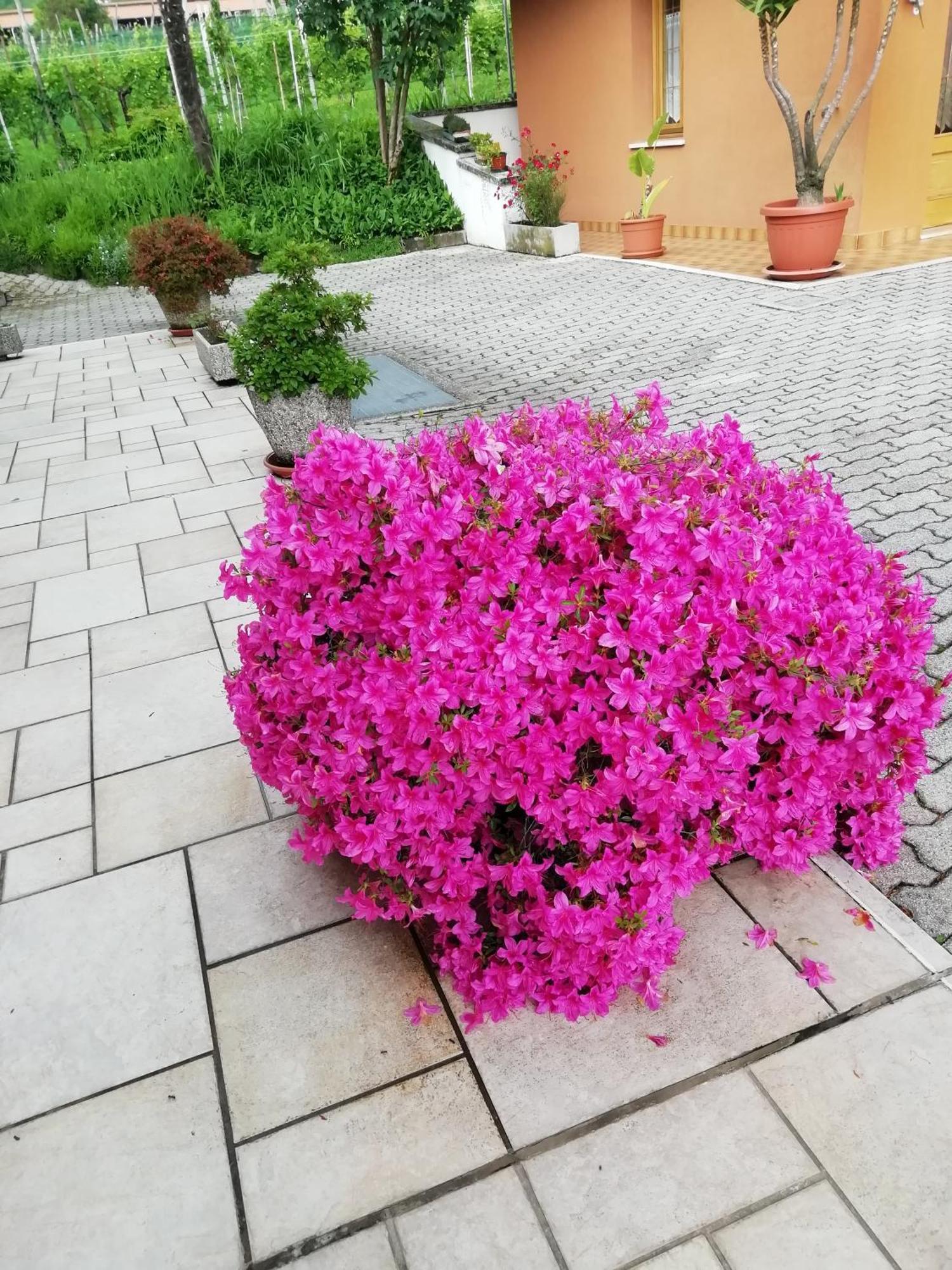 Alloggio Cristina Valdobbiadene Zewnętrze zdjęcie